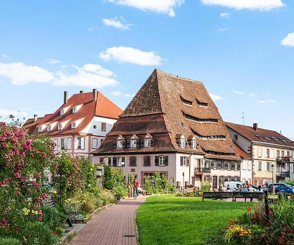 Chez Cnyl * 비상부르