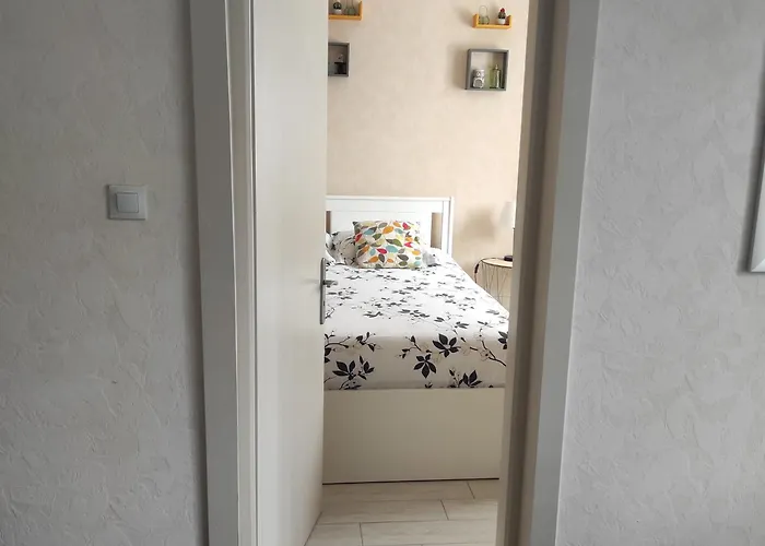 Chez Cnyl * 비상부르