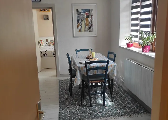 Chez Cnyl 비상부르