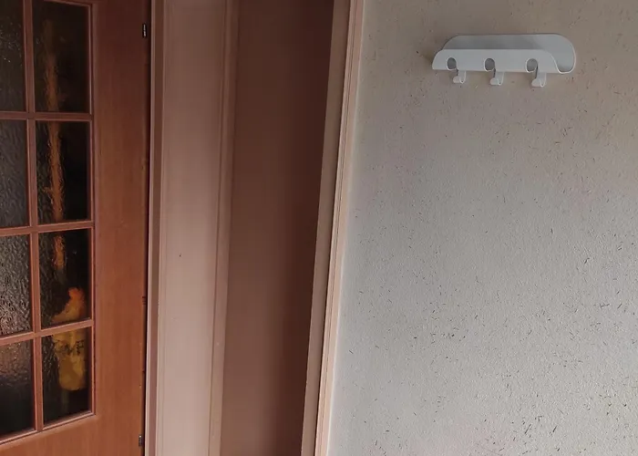 Chez Cnyl * 비상부르